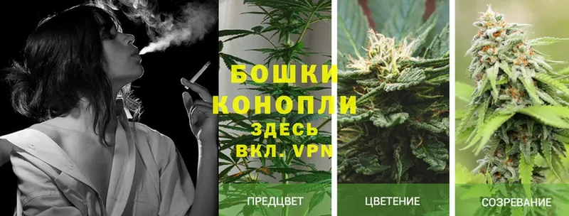 Марихуана Ganja  Белозерск 